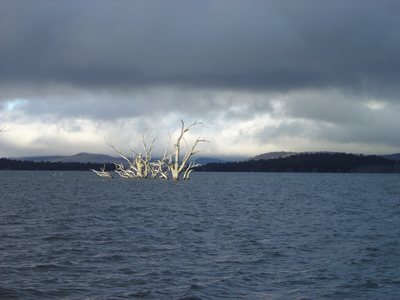 Arthur's Lake